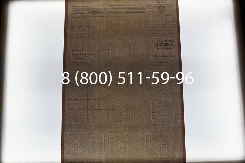 Купить Академическая справка 1996-2009 года в Екатеринбурге
