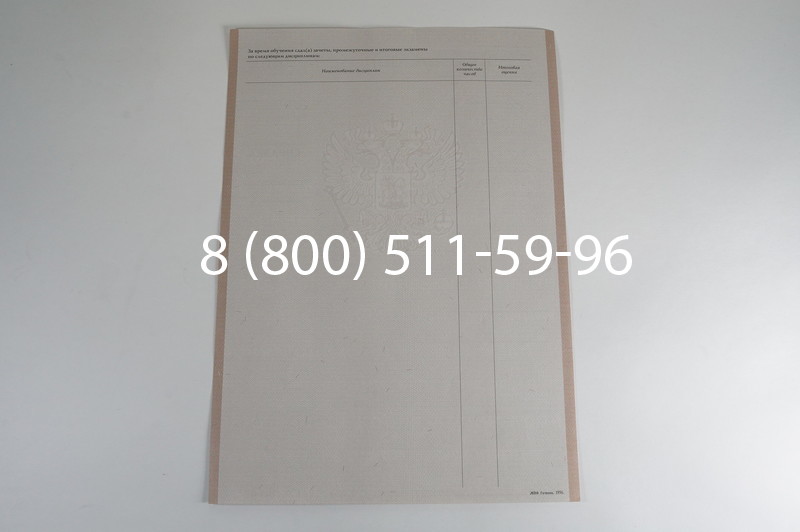 Заказать Академическая справка 1996-2009 года в Екатеринбурге