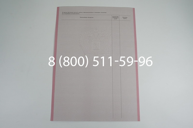 Заказать Академическая справка образца 1996-2009 год для колледжа в Екатеринбурге