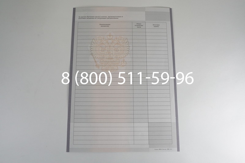 Заказать Академическая справка образца 2010-2011 год для колледжа в Екатеринбурге