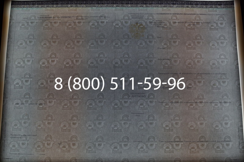 Заказать Диплом бакалавра (Киржач) 2014-2026 года в Екатеринбурге