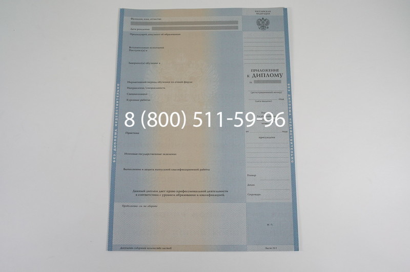 Заказать Диплом бакалавра 1997-2002 годов в Екатеринбурге