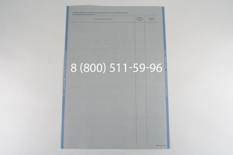 Диплом бакалавра 2003-2009 годов в Екатеринбурге