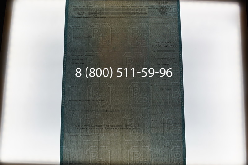 Заказать Диплом бакалавра 2003-2009 годов в Екатеринбурге