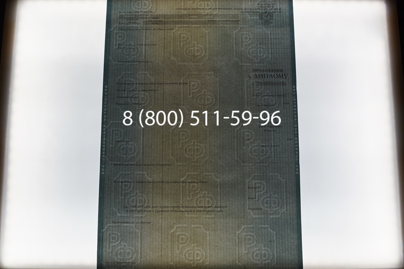 Заказать Диплом бакалавра 2012-2013 годов в Екатеринбурге