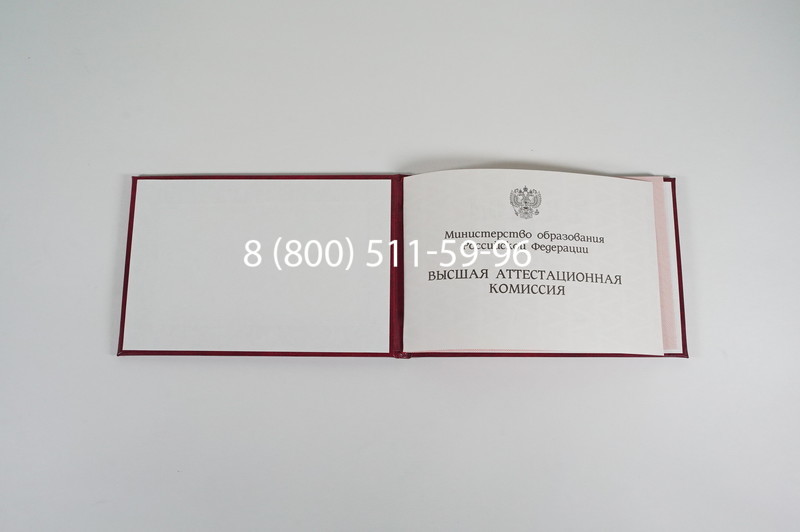 Диплом доктора наук 1995-2006 года в Екатеринбурге