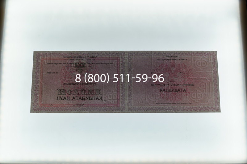 Заказать Диплом кандидата наук 2010 в Екатеринбурге