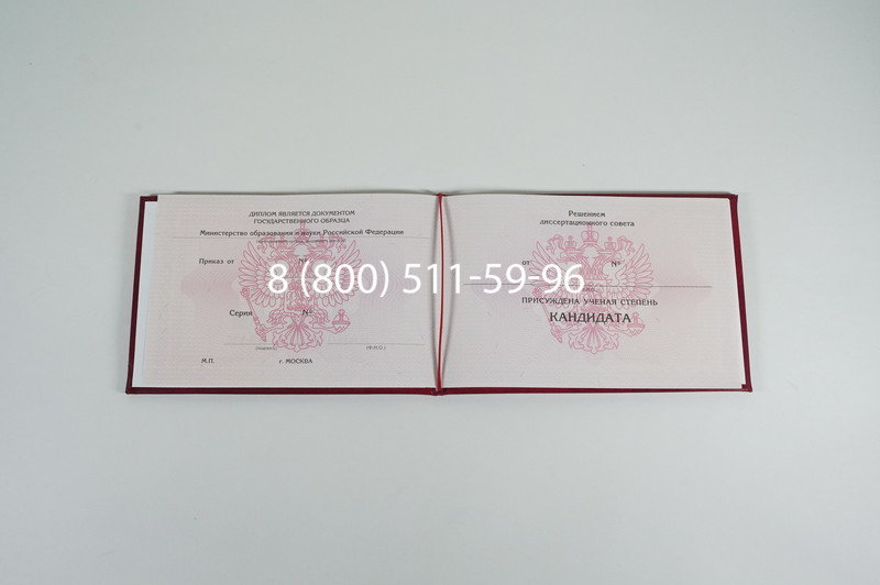 Заказать Диплом кандидата наук 2010 в Екатеринбурге