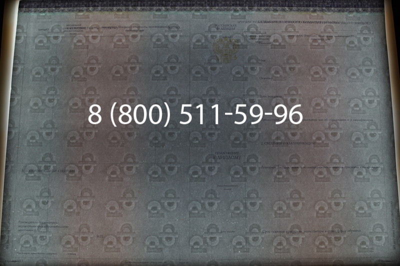 Заказать Диплом магистра (КИРЖАЧ) 2014-2026годов в Екатеринбурге