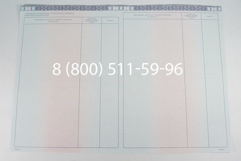 Диплом магистра 2014-2026 года в Екатеринбурге