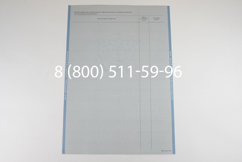 Заказать Диплом магистра 1997-2002 годов в Екатеринбурге