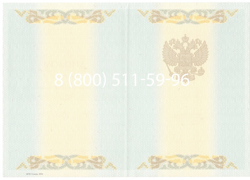 Купить Диплом магистра 2003-2009 годов в Екатеринбурге