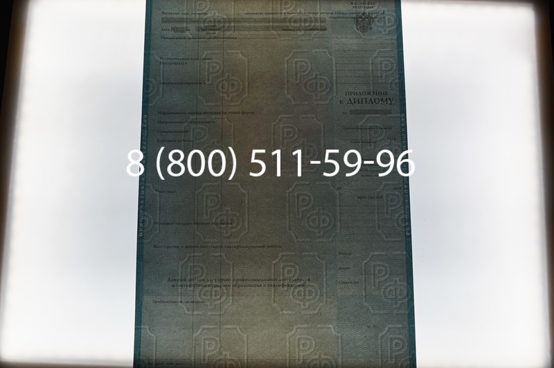 Заказать Диплом магистра 2003-2009 годов в Екатеринбурге