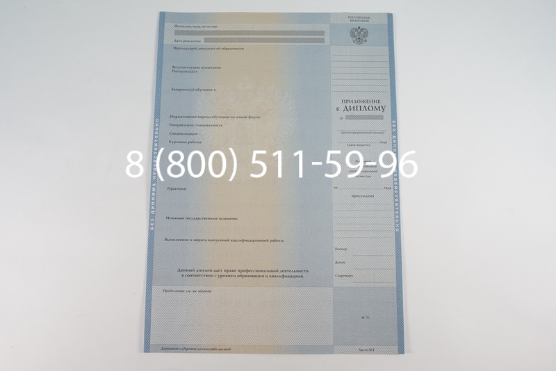 Диплом магистра 2003-2009 годов в Екатеринбурге