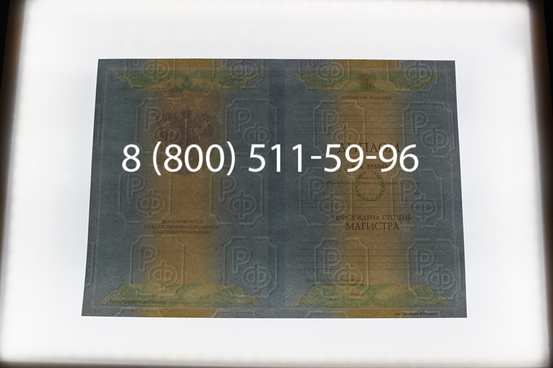 Заказать Диплом магистра 2010-2011 годов в Екатеринбурге