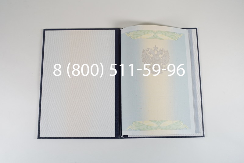 Диплом магистра 2010-2011 годов в Екатеринбурге