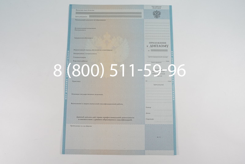 Диплом магистра 2010-2011 годов в Екатеринбурге