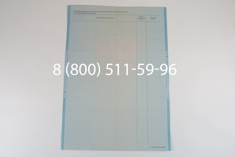 Диплом магистра 2010-2011 годов в Екатеринбурге