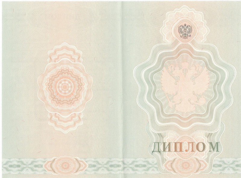 Купить Диплом о начальном образовании  2007-2009 годов в Екатеринбурге