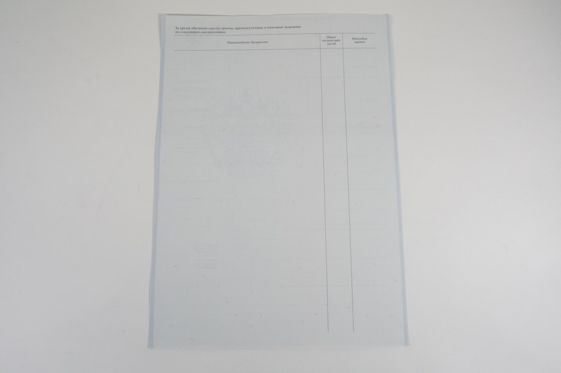 Диплом о начальном образовании  2007-2009 годов в Екатеринбурге