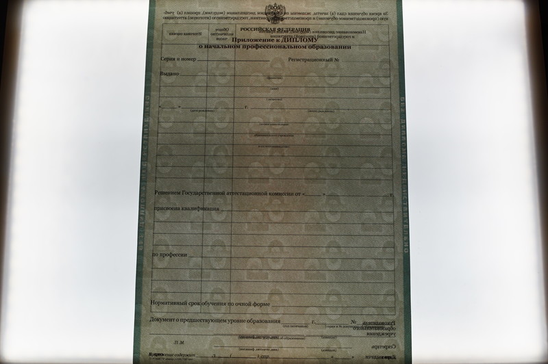 Заказать Диплом о начальном образовании  2010-2026 годов в Екатеринбурге