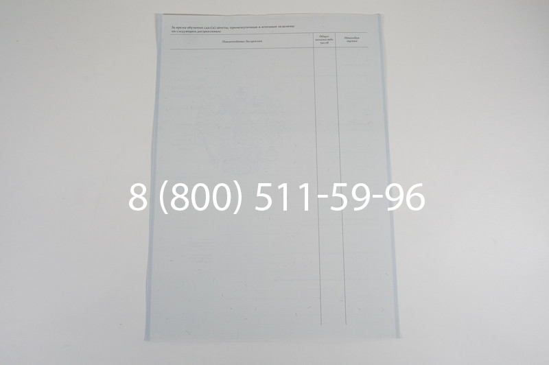 Диплом ПТУ 2007-2010 годов в Екатеринбурге