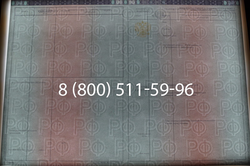 Заказать Диплом специалиста 2014-2026 года в Екатеринбурге