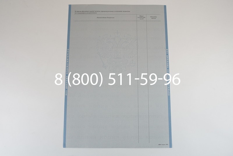 Диплом специалиста 2003-2009 годов в Екатеринбурге