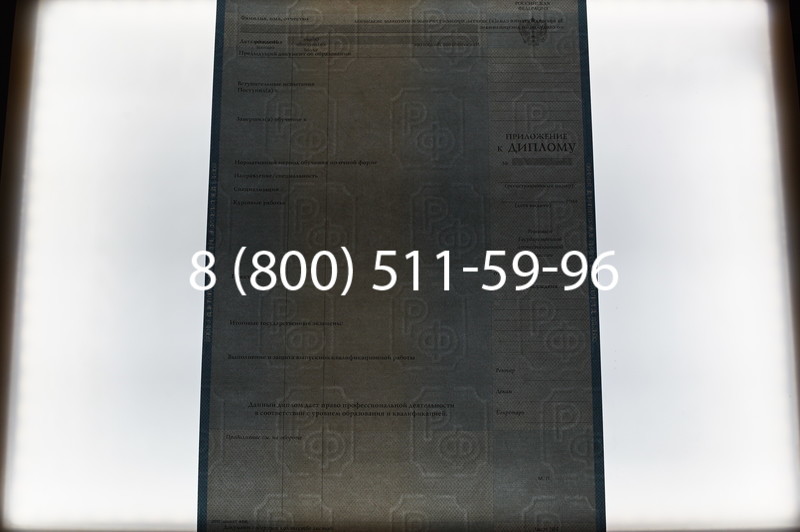 Заказать Диплом специалиста 2003-2009 годов в Екатеринбурге