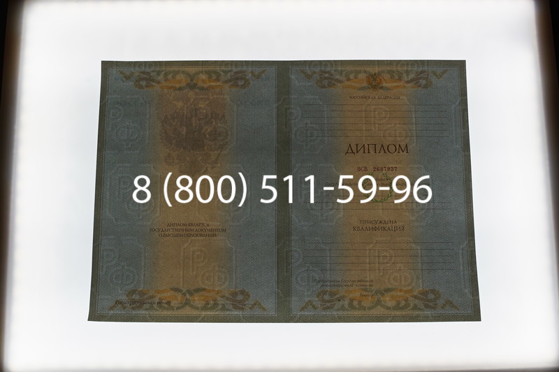 Заказать Диплом специалиста 2003-2009 годов в Екатеринбурге