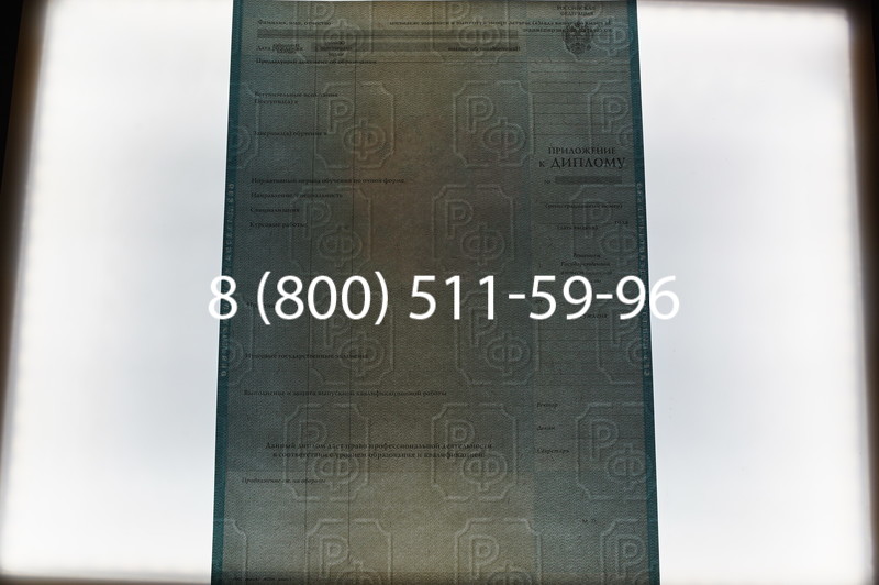 Заказать Диплом специалиста 2010-2011 годов в Екатеринбурге