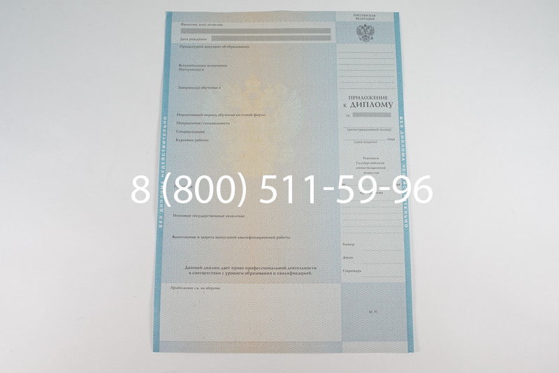 Диплом специалиста 2010-2011 годов в Екатеринбурге