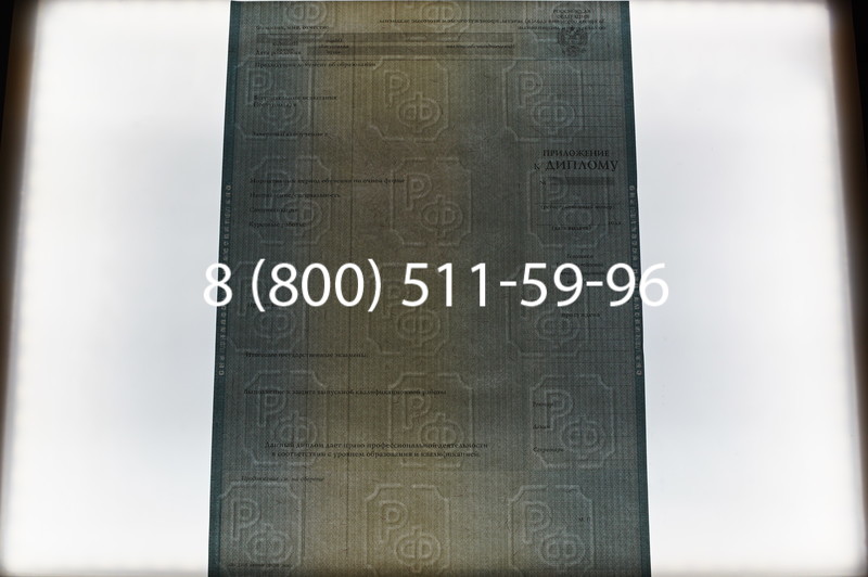 Заказать Диплом специалиста 2012-2013 годов в Екатеринбурге