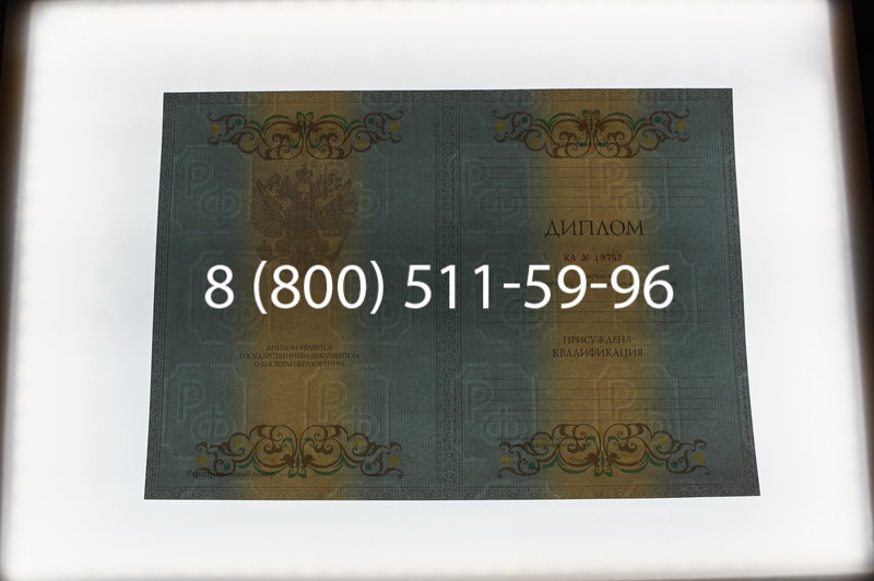 Заказать Диплом специалиста 2012-2013 годов в Екатеринбурге