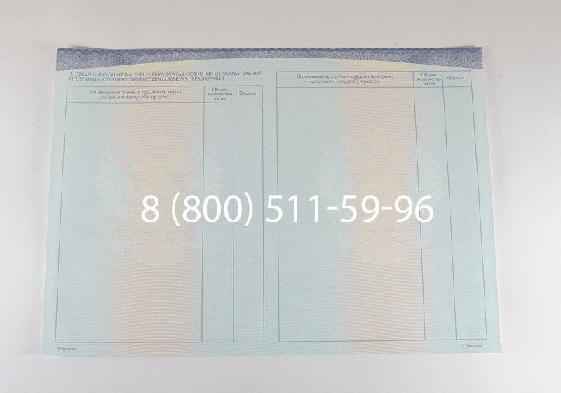 Диплом техникума (Спецбланк) 2014-2026 года в Екатеринбурге