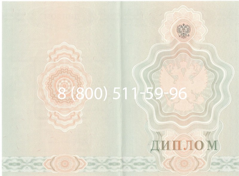 Купить Диплом училища 2007-2009 годов в Екатеринбурге