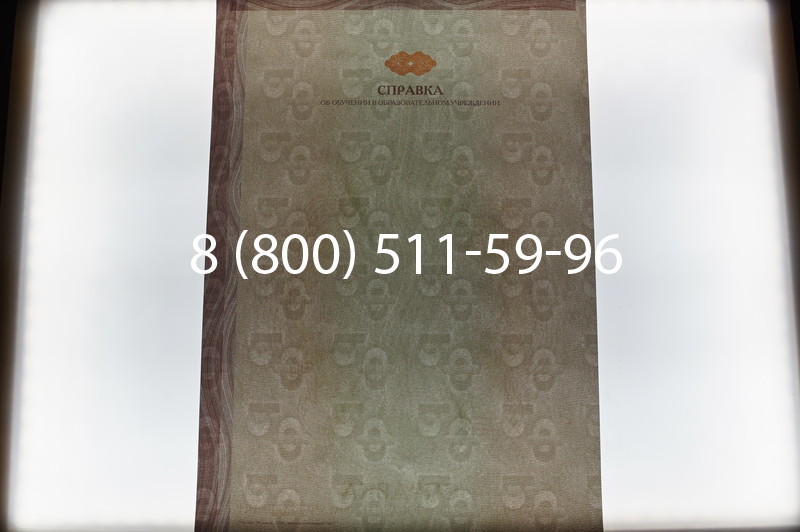 Купить Справка об обучении в Екатеринбурге