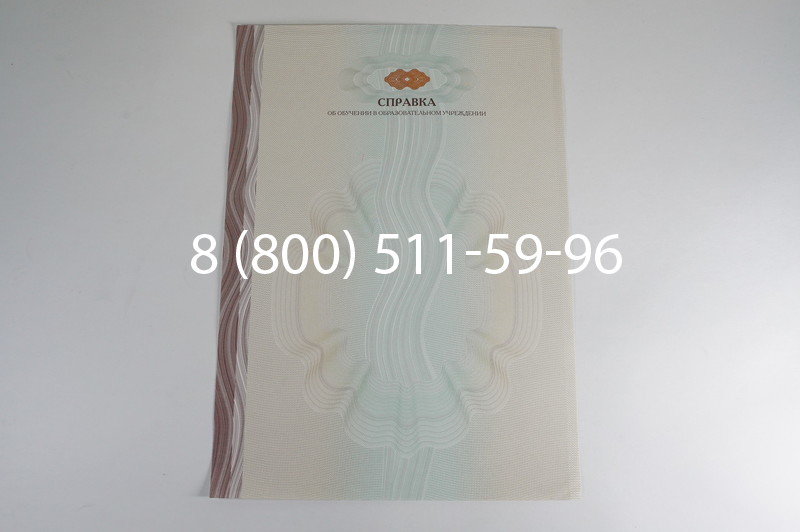 Заказать Справка об обучении в Екатеринбурге
