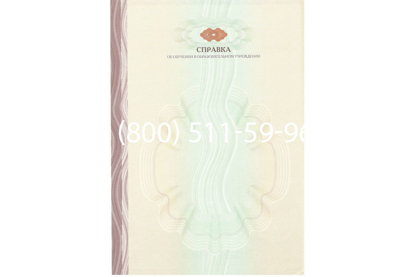 Купить Справка об обучении в Екатеринбурге